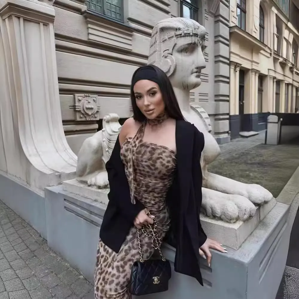 heyheyshine 2 Piece Women's Sexy Skirt Sets Elegant Bodycon Maxi Leopard Print Dress Tank Top Evening Clubwear Y2K Dress Sets